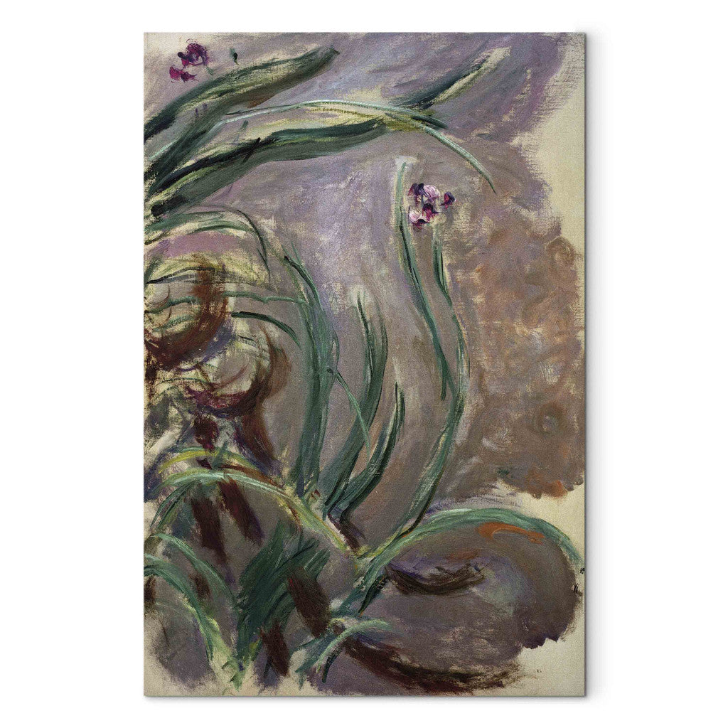 Gleznas reprodukcija - Claude Monet - Iris