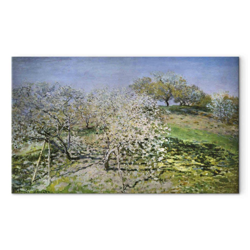 Gleznas reprodukcija - Claude Monet - Printemps. Pommiers en fleurs