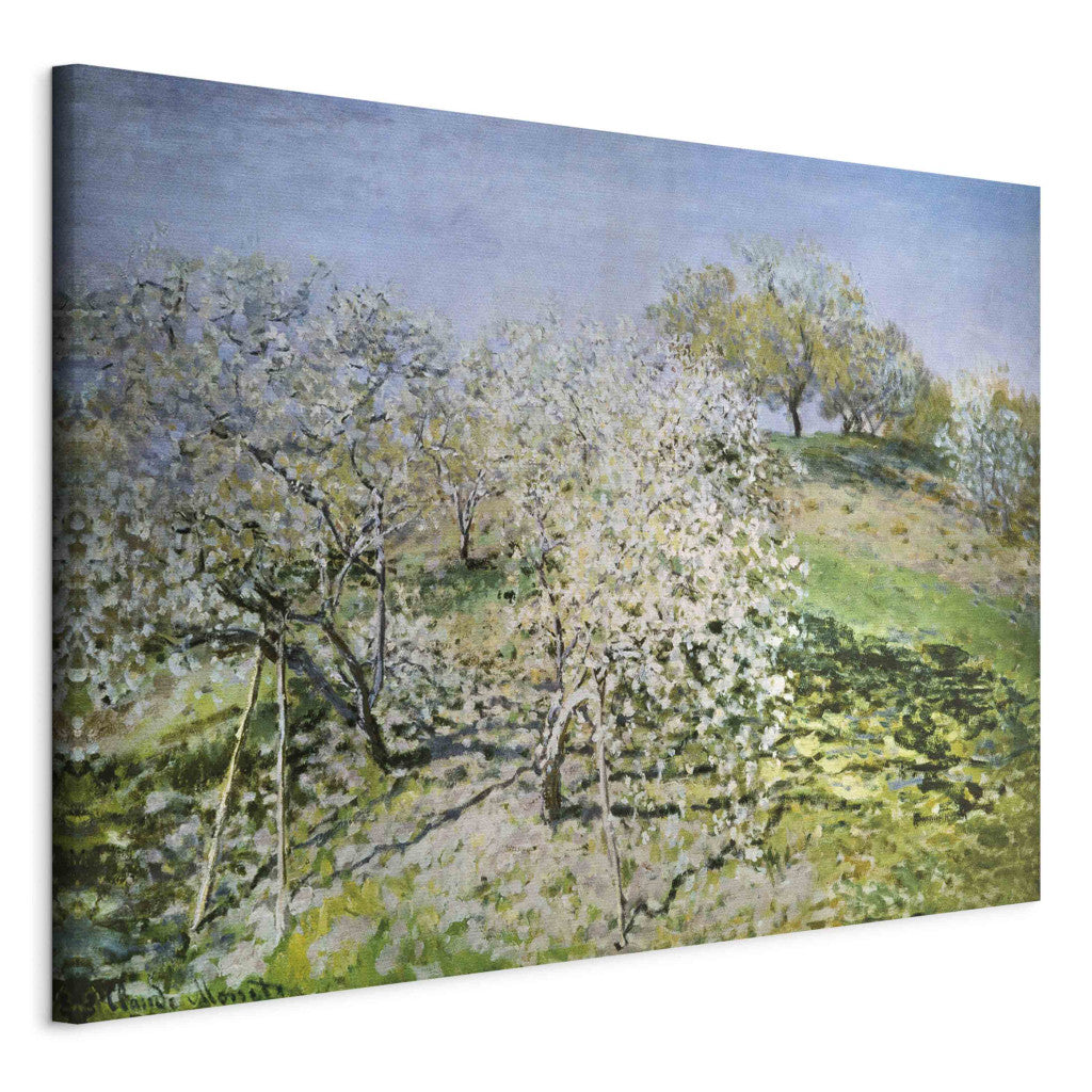Gleznas reprodukcija - Claude Monet - Printemps. Pommiers en fleurs