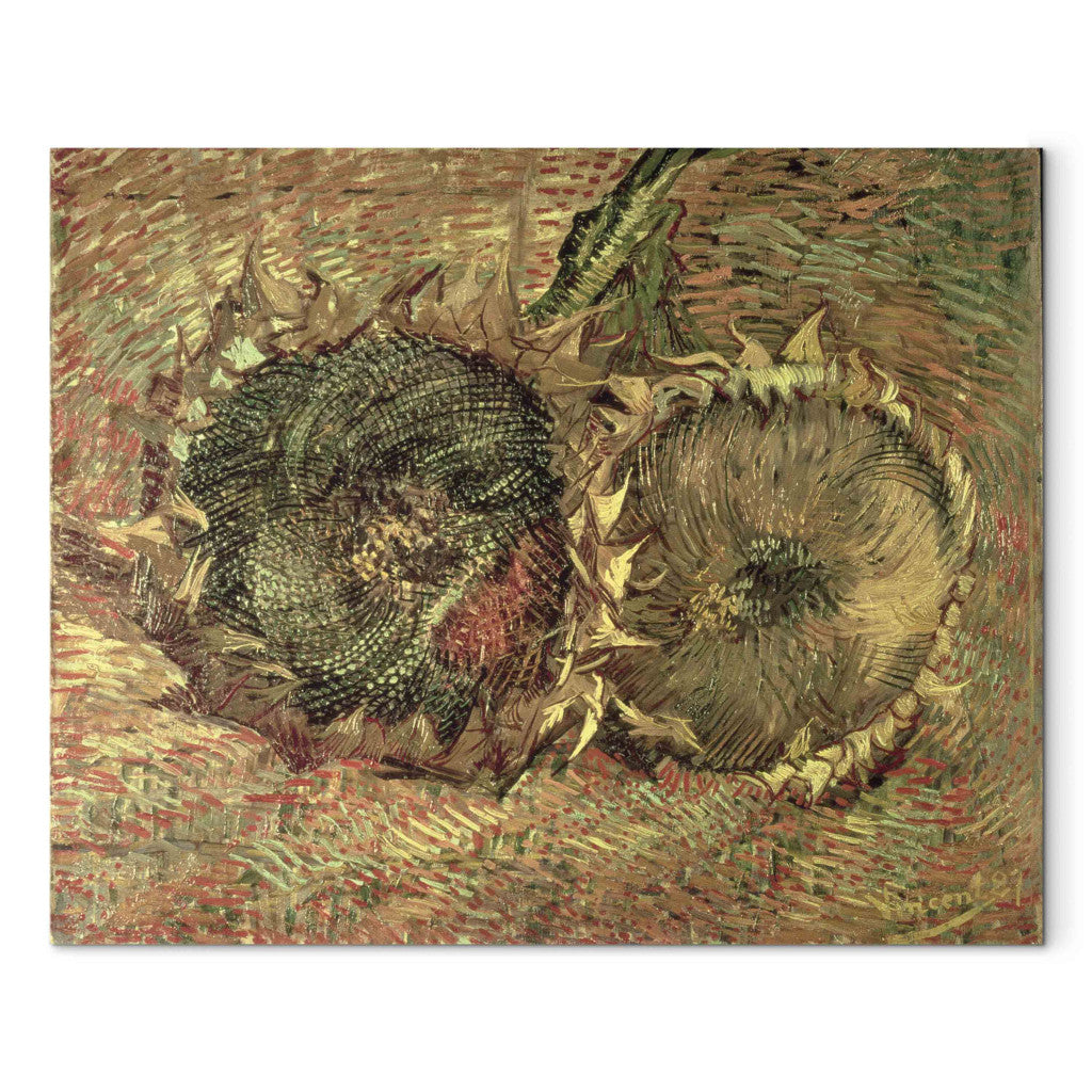 Gleznas reprodukcija - Vincent van Gogh - Two Cut Sunflowers
