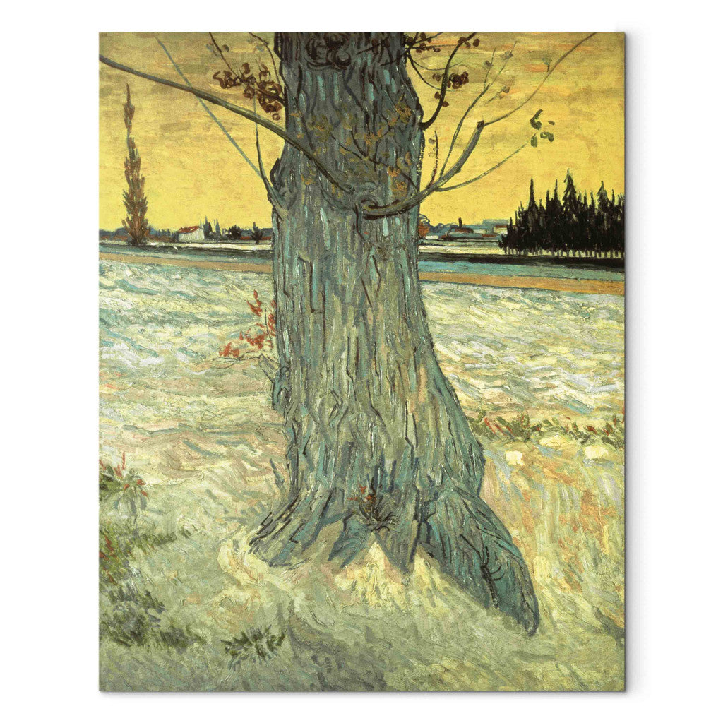 Gleznas reprodukcija - Vincent van Gogh - The Tree