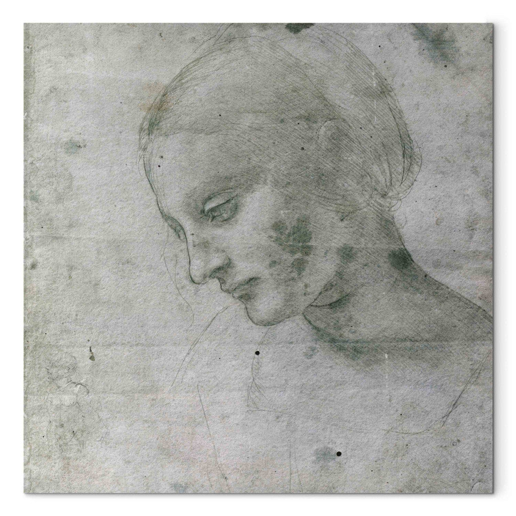 Gleznas reprodukcija - Leonardo da Vinci - Head of a Young Woman or Head of the Virgin