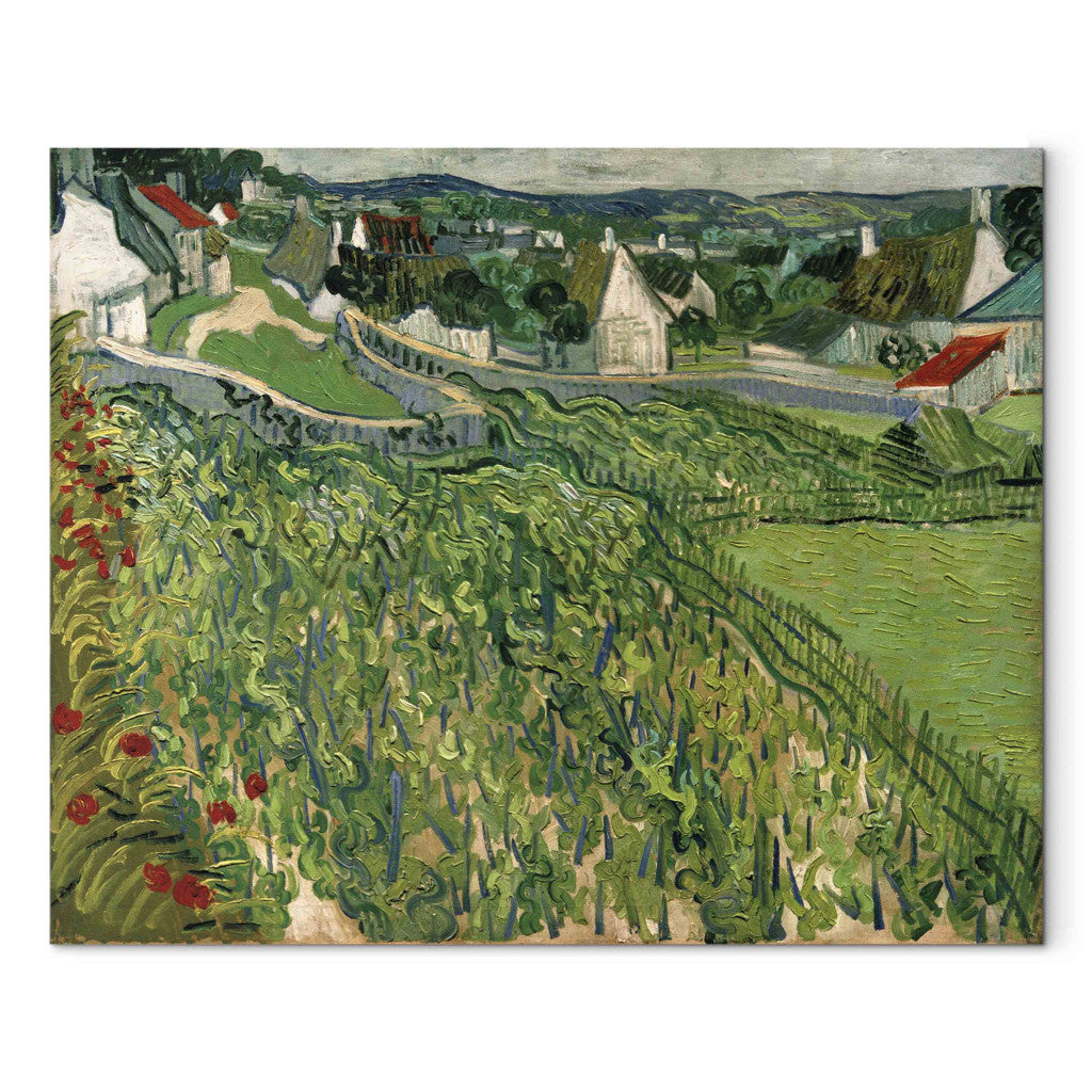 Gleznas reprodukcija - Vincent van Gogh - Vineyards at Auvers