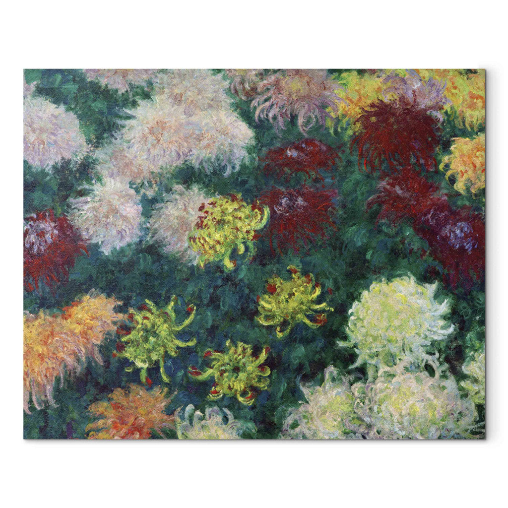 Gleznas reprodukcija - Claude Monet - Massif de chrysanthemes