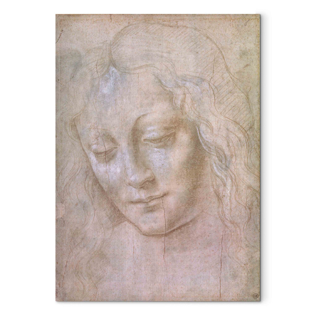 Gleznas reprodukcija - Leonardo da Vinci - Head of a woman (3. versija)
