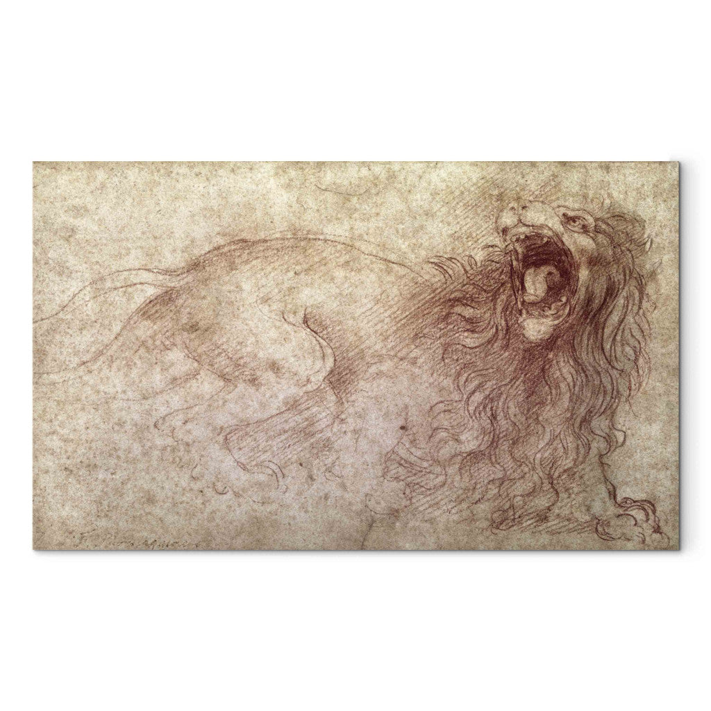 Gleznas reprodukcija - Leonardo da Vinci - Sketch of a roaring lion