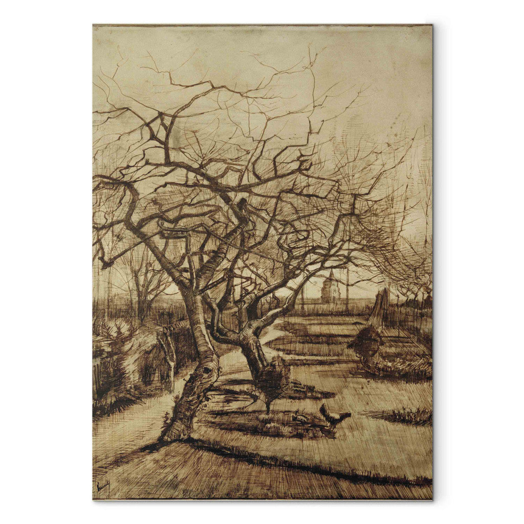 Gleznas reprodukcija - Vincent van Gogh - Parsonage Garden in Nuenen
