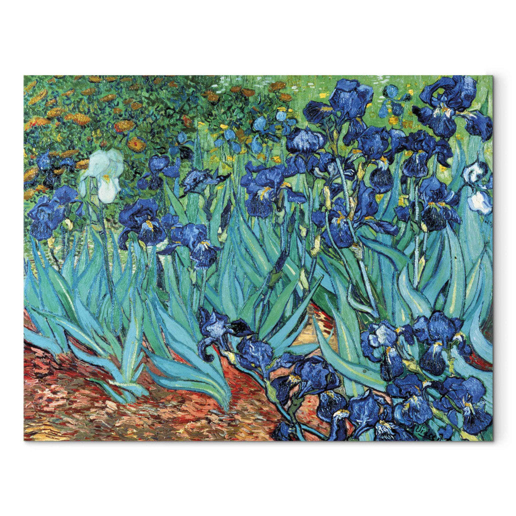 Gleznas reprodukcija - Vincent van Gogh - Irises Saint Remy