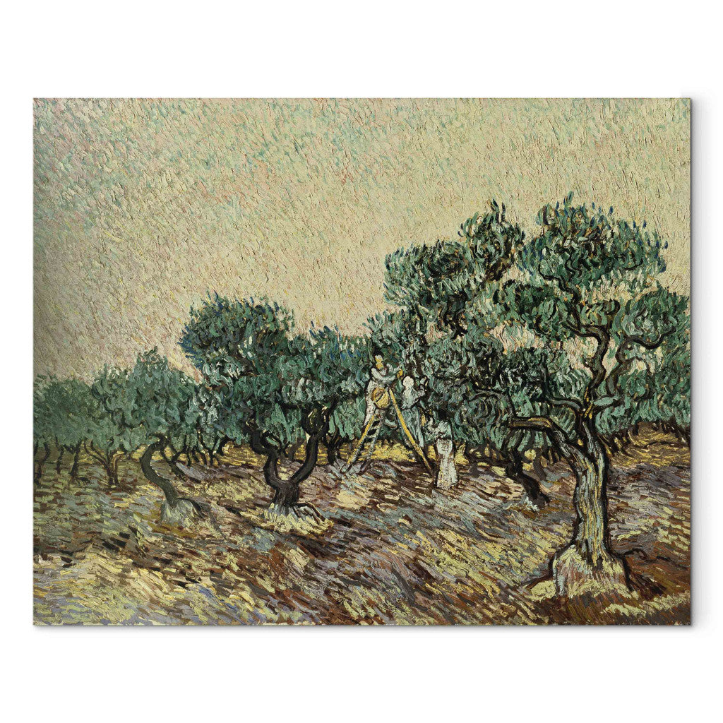 Gleznas reprodukcija - Vincent van Gogh - The Olive Gatherers