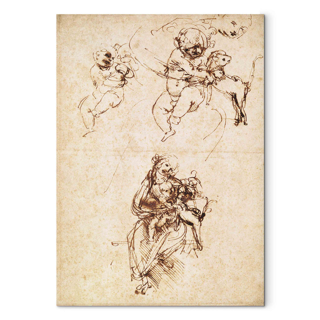 Gleznas reprodukcija - Leonardo da Vinci - Studies for a Madonna with a Cat