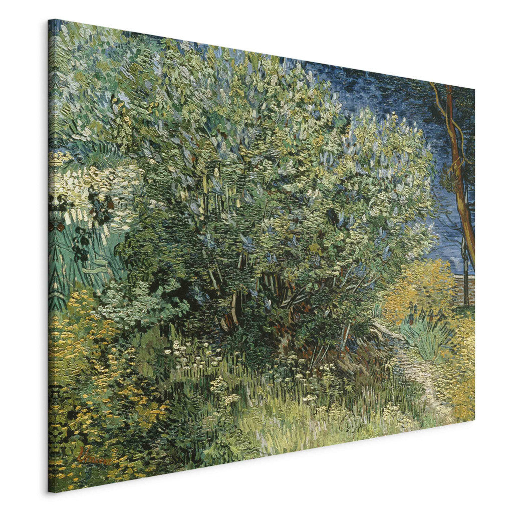 Gleznas reprodukcija - Vincent van Gogh - Lilacs