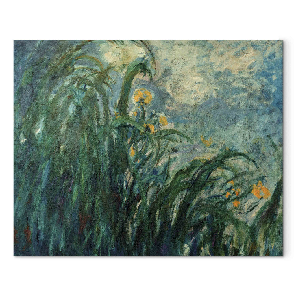 Gleznas reprodukcija - Claude Monet - Les iris jaunes
