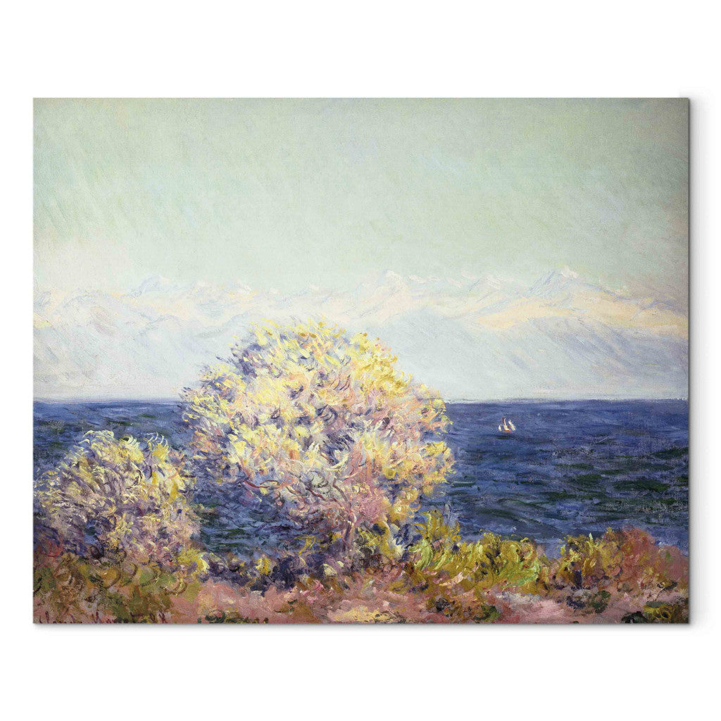 Gleznas reprodukcija - Claude Monet - Cap d'Antibes in Mistral