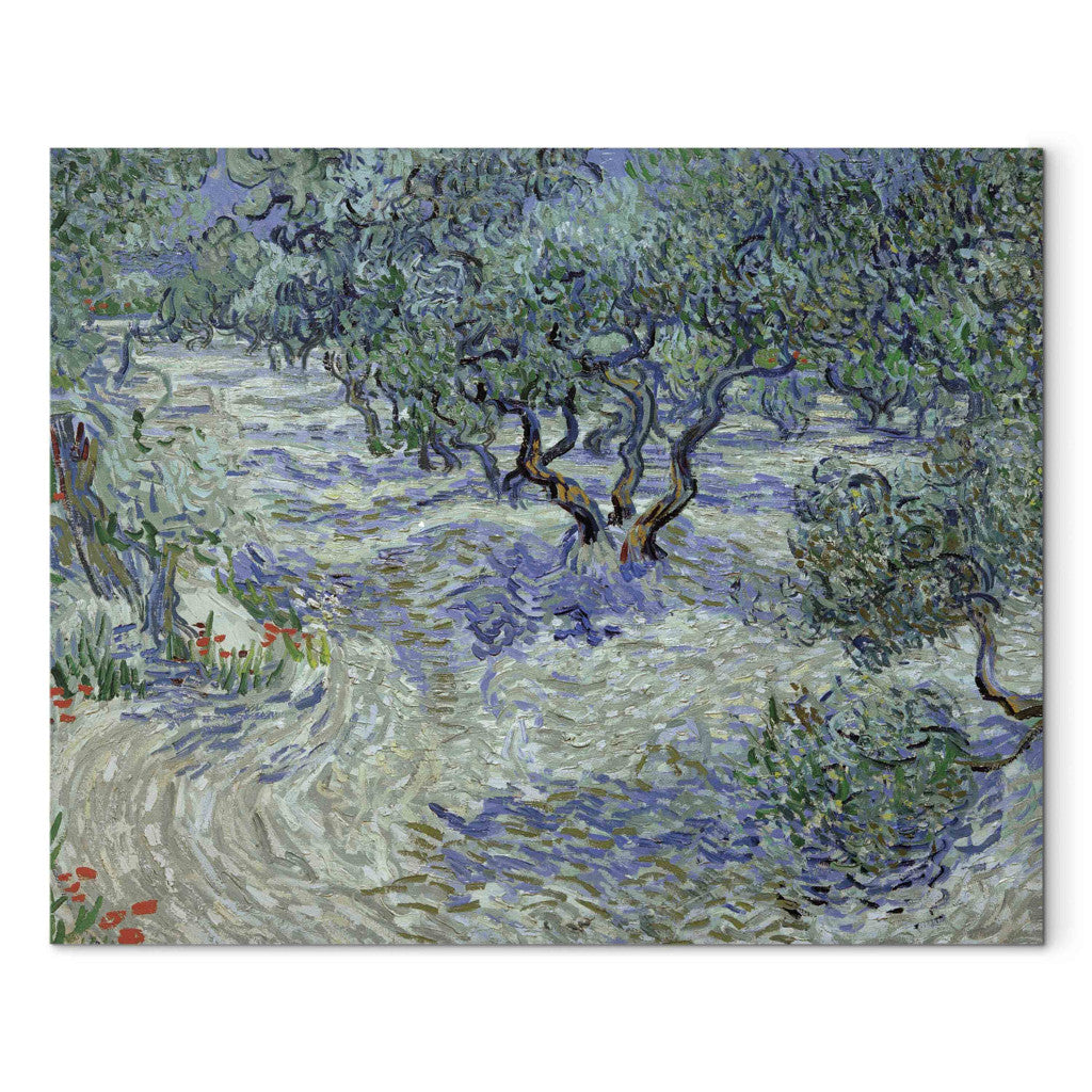 Gleznas reprodukcija - Vincent van Gogh - Olive Grove