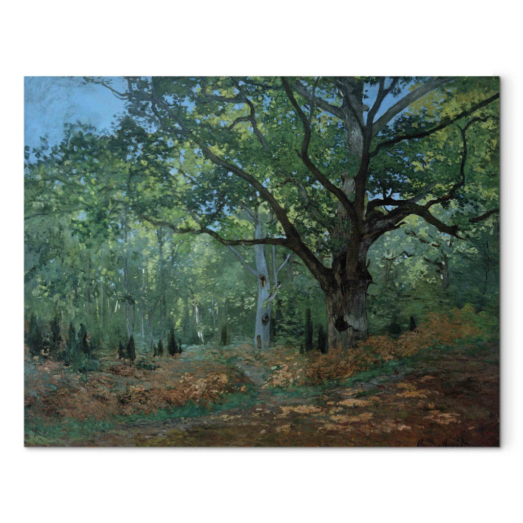 Gleznas reprodukcija - Claude Monet - Un chene au Bas -Breau (Le Bodmer)