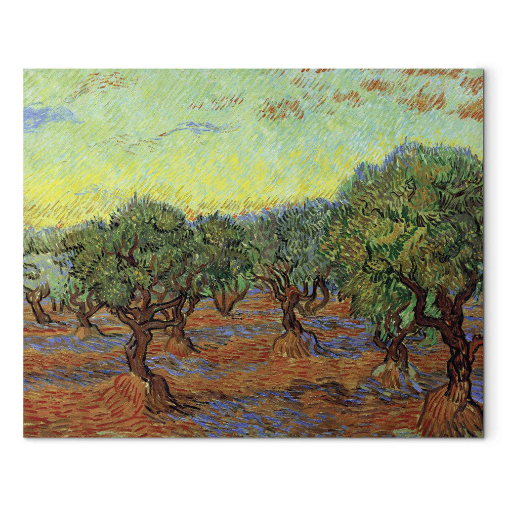 Gleznas reprodukcija - Vincent van Gogh - Olive hain