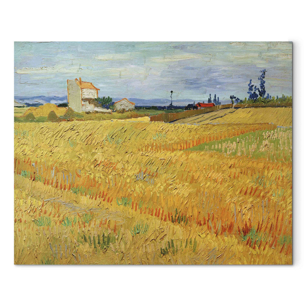 Gleznas reprodukcija - Vincent van Gogh - Wheat Field