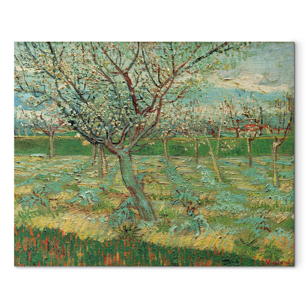 Gleznas reprodukcija - Vincent van Gogh - Orchard with Apricot Trees in Blossom