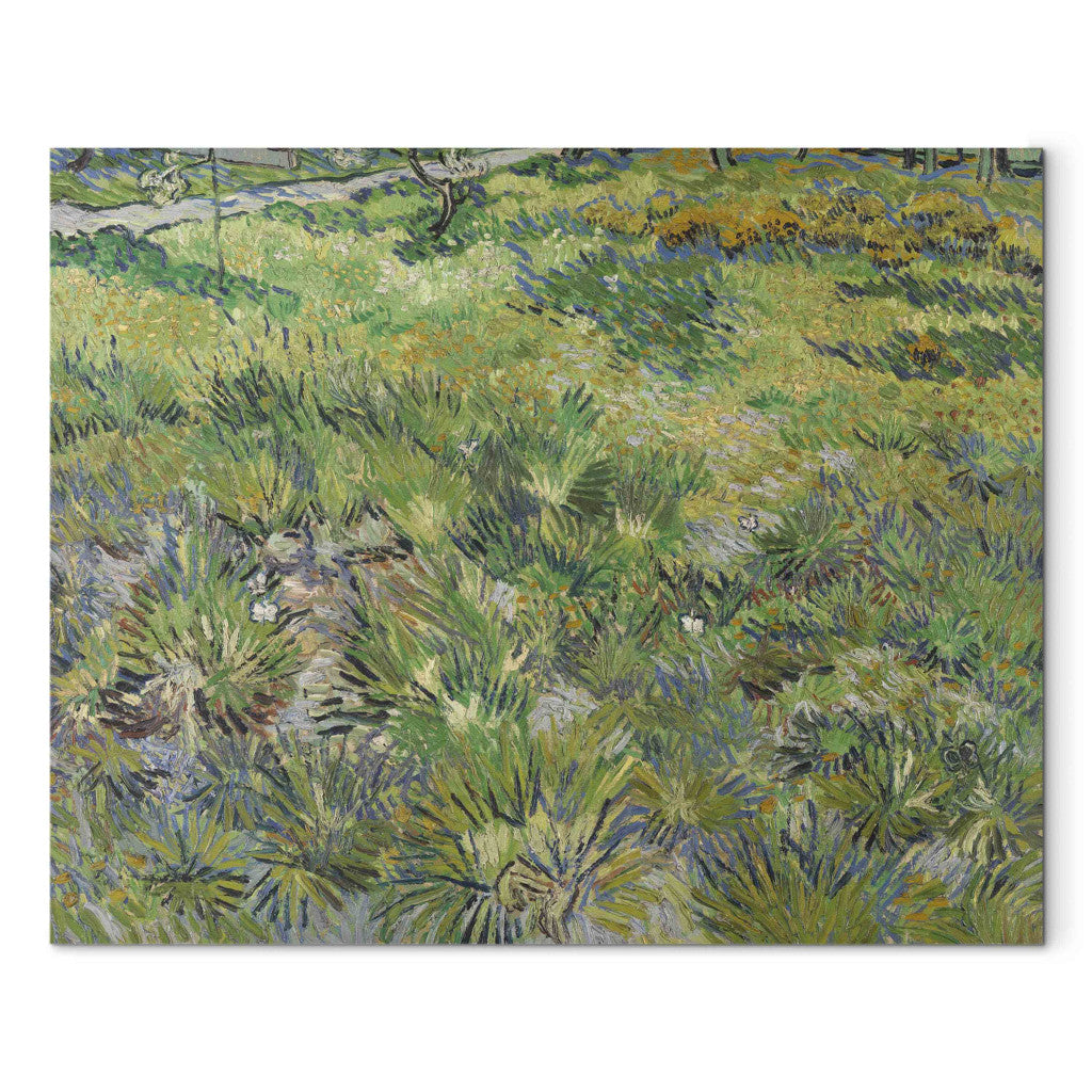 Gleznas reprodukcija - Vincent van Gogh - Wiese im Garten des Hospitals Saint -Paul