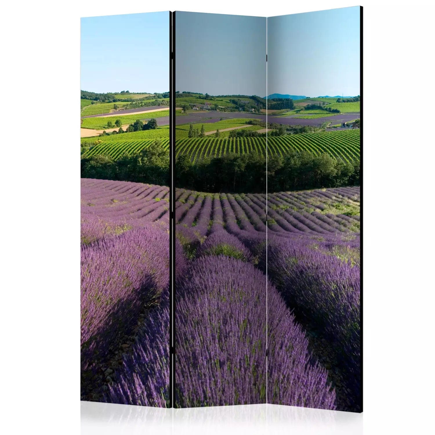 Aizslietnis 3-daļīgs - Lavandas lauki (135x172cm), 134156 Home Trends