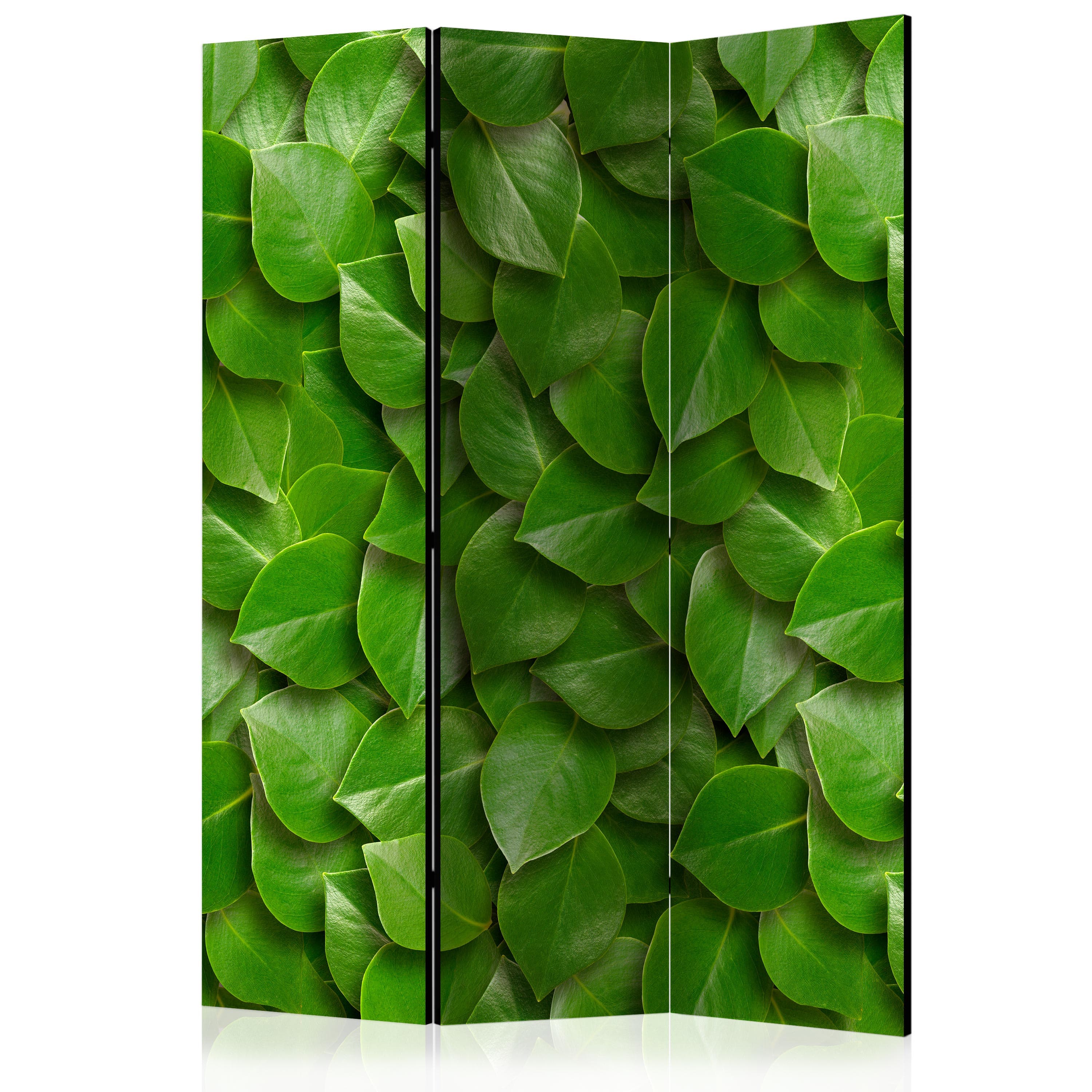 Aizslietnis 3-daļīgs - Slepenais dārzs 1 .versija (135x172cm) 135x172 cm Home Trends