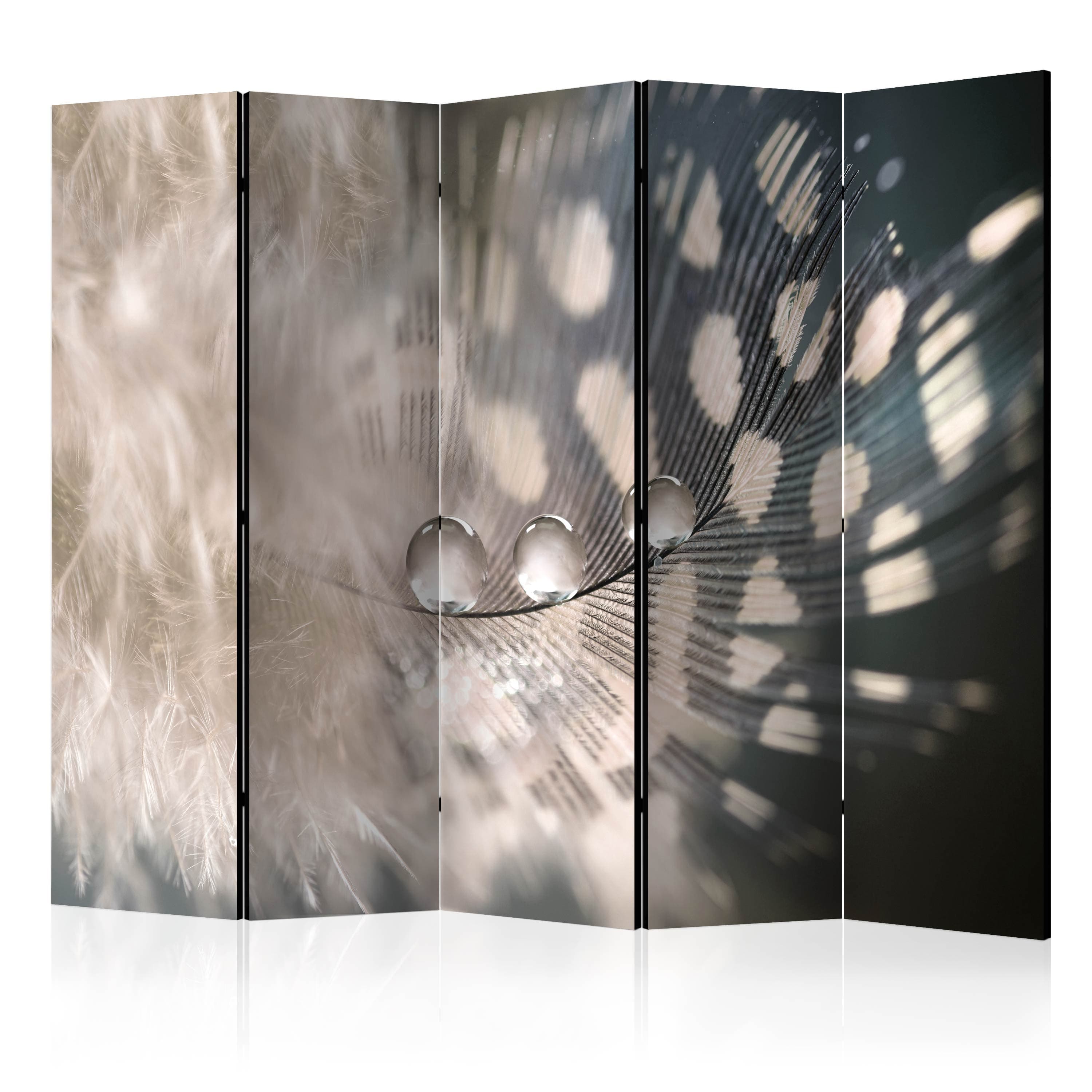 Aizslietnis 5-daļīgs - Eleganta spalva (225x172cm) 225x172 cm Home Trends