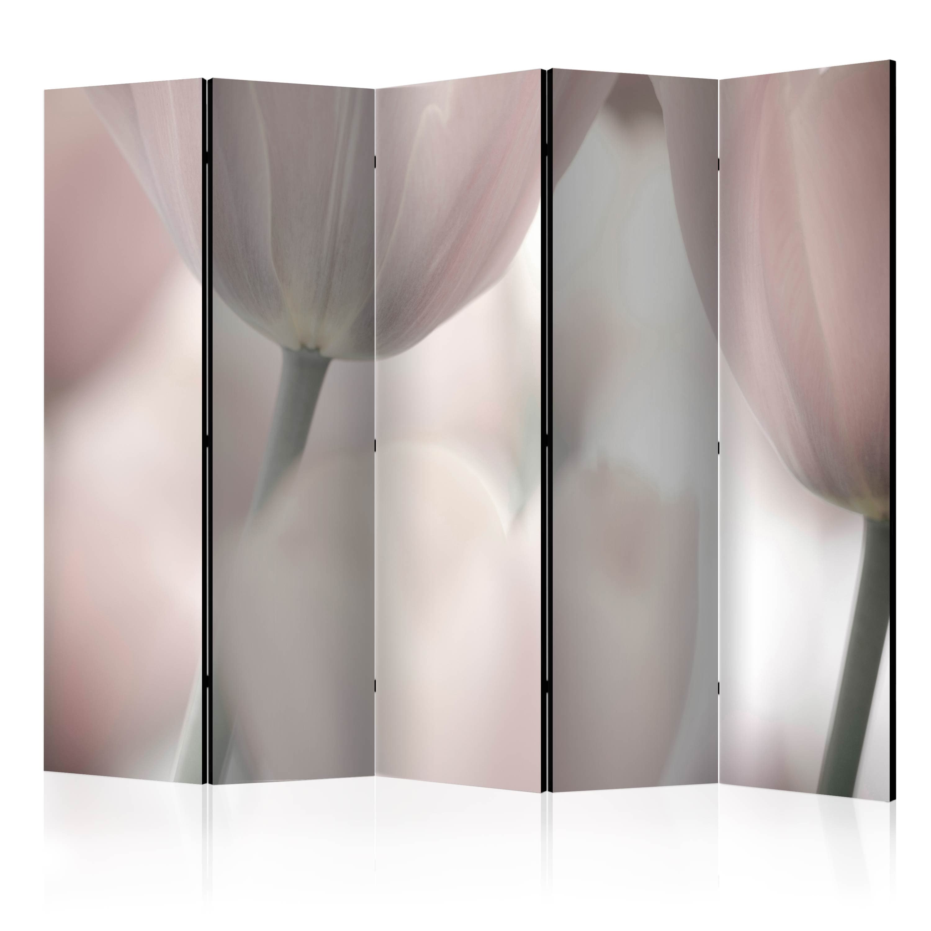 Aizslietnis 5-daļīgs - Mākslinieciskās tulpes II - melnbaltā krāsā (225x172cm) 225x172 cm Home Trends