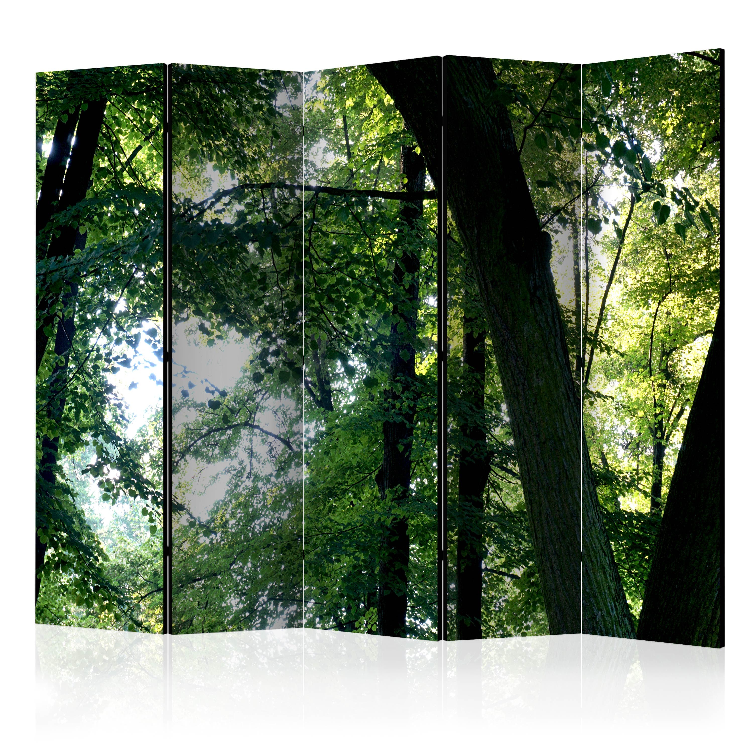 Aizslietnis 5-daļīgs - Pavasaris parkā (225x172cm) 225x172 cm Home Trends