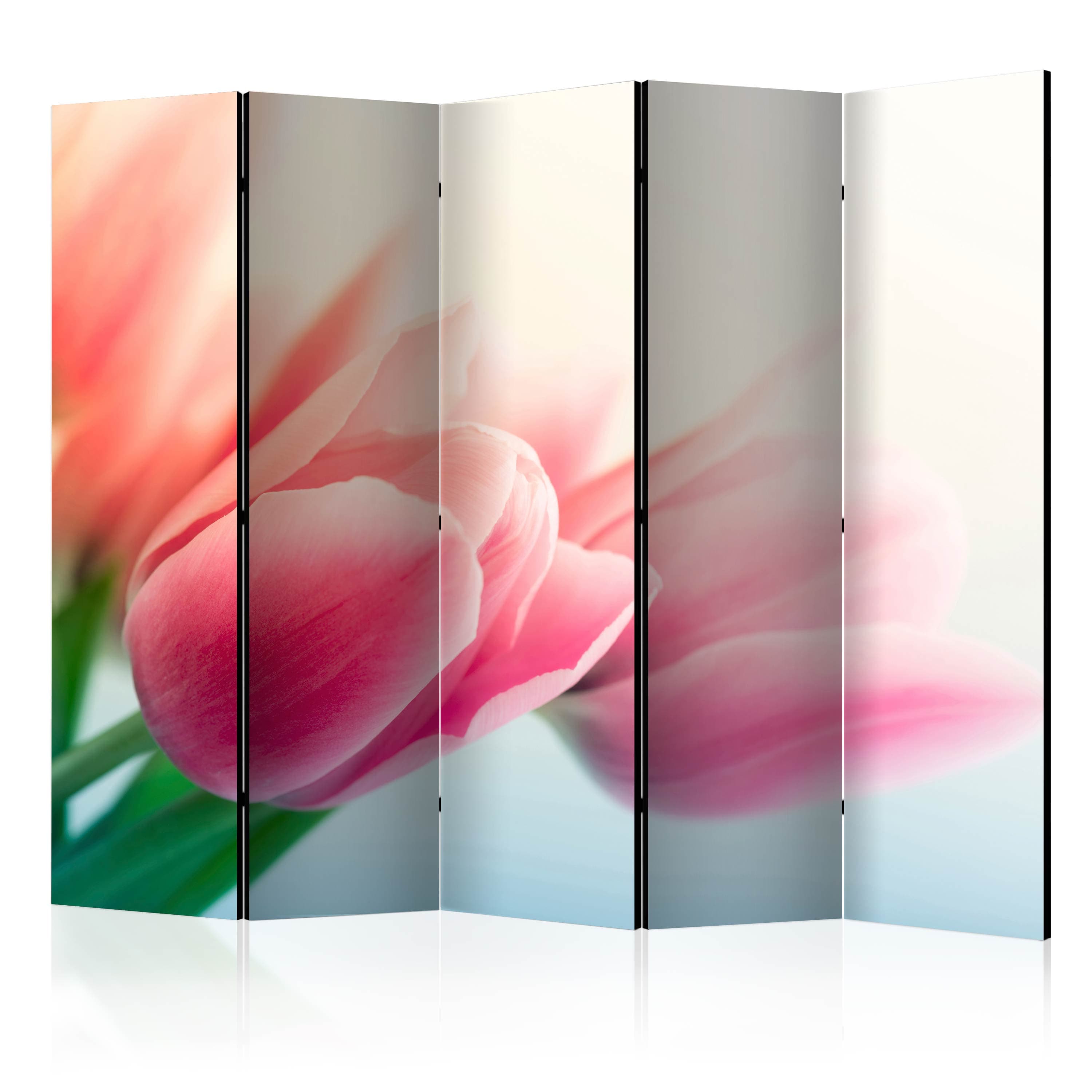 Aizslietnis 5-daļīgs - Pavasaris un tulpes (225x172cm) 225x172 cm Home Trends
