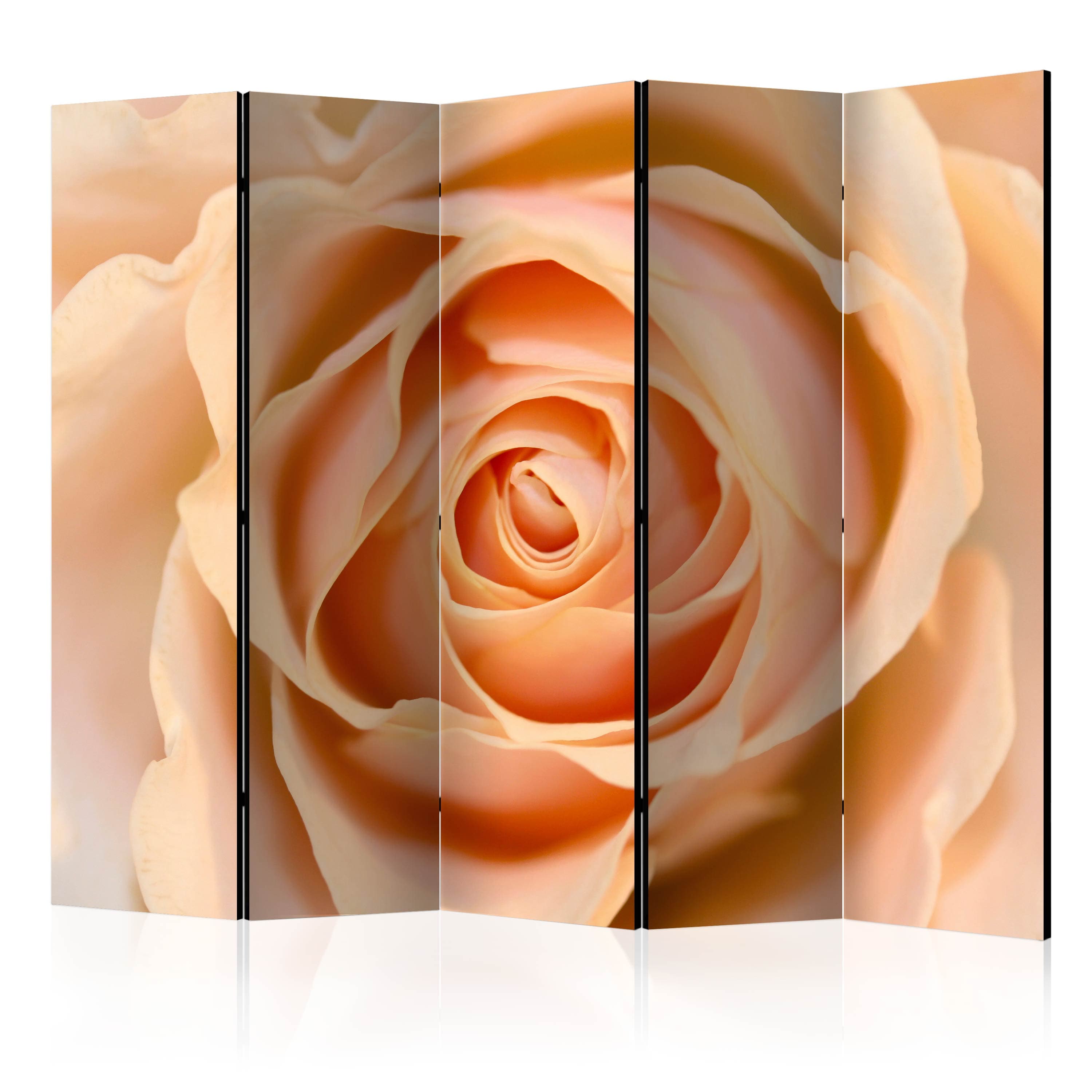 Aizslietnis 5-daļīgs - Persiku krāsas roze (225x172cm) 225x172 cm Home Trends