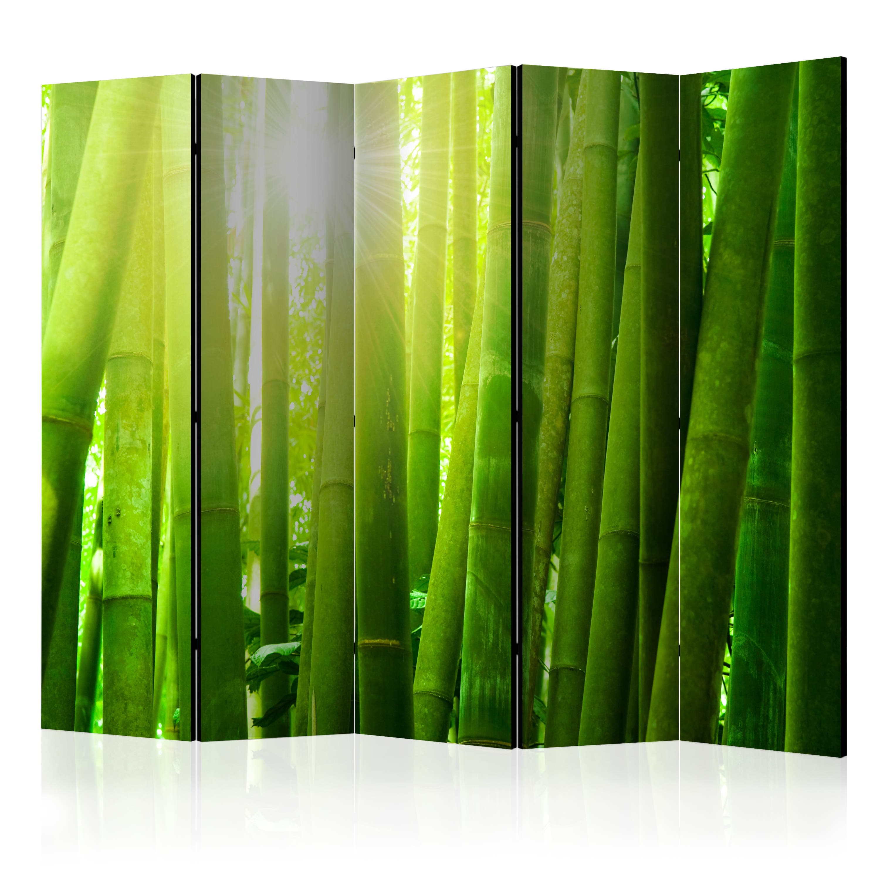 Aizslietnis 5-daļīgs - Saule un bambuss (225x172cm) 225x172 cm Home Trends