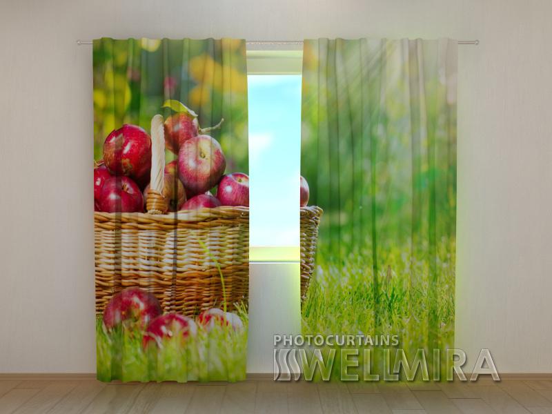 Dienas un nakts aizkari - Āboli 180 x 140 cm (2X 90x140 cm) / SCREEN E-interjers.lv