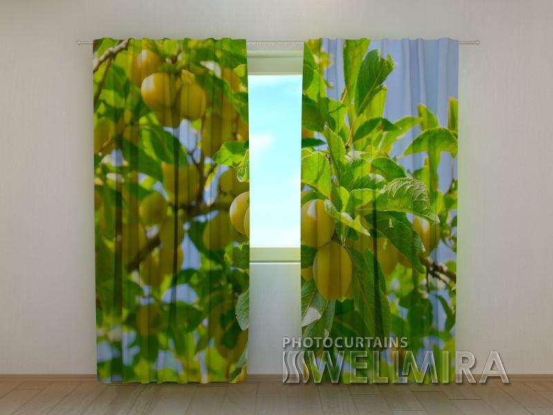Dienas un nakts aizkari - Aprikozes 180 x 140 cm (2X 90x140 cm) / SCREEN E-interjers.lv