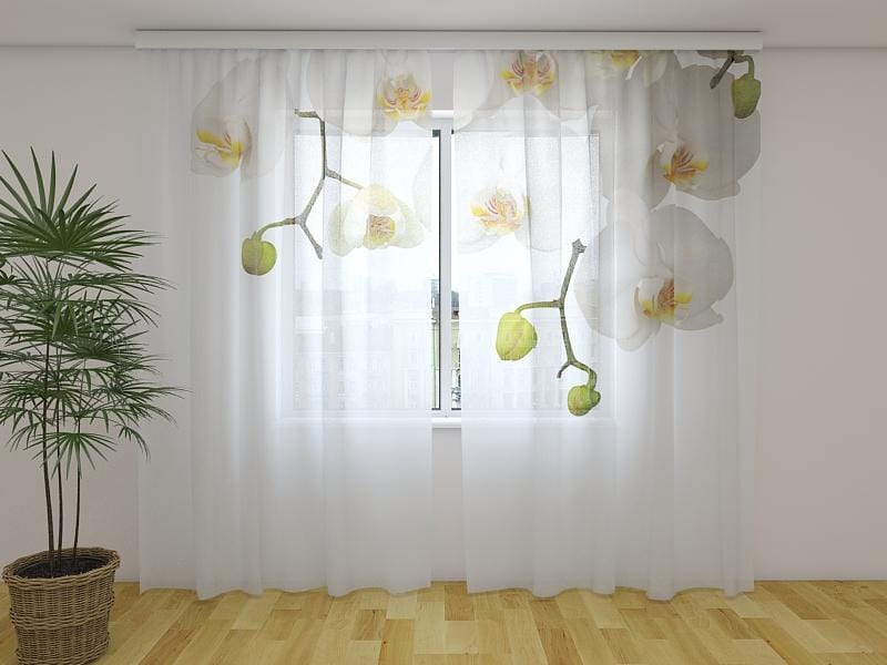 Dienas un nakts aizkari - Lielās orhidejas 180 x 140 cm (2X 90x140 cm) / Сaurspīdīgs šifons E-interjers.lv