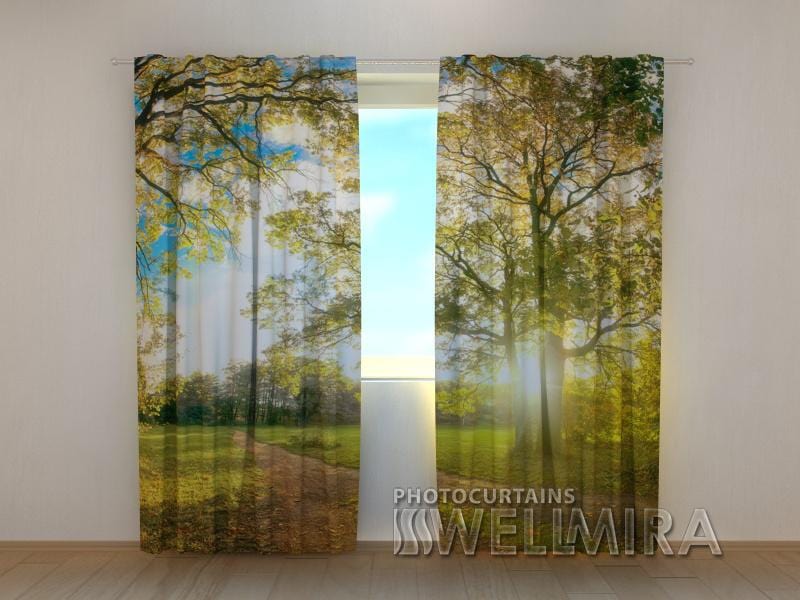 Dienas un nakts aizkari - Saule parkā 180 x 140 cm (2X 90x140 cm) / SCREEN E-interjers.lv