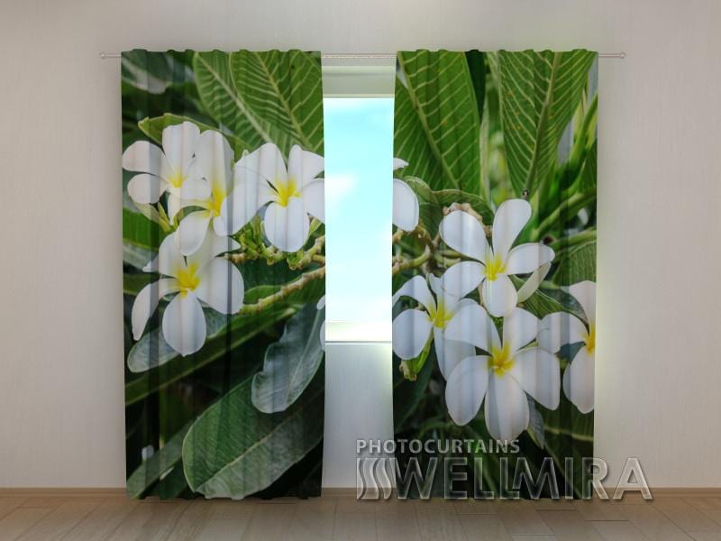 Dienas un nakts aizkari - Tropu krūmi 180 x 140 cm (2X 90x140 cm) / SCREEN E-interjers.lv