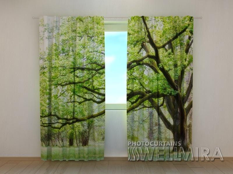 Dienas un nakts aizkari - Zaļais koks 180 x 140 cm (2X 90x140 cm) / SCREEN E-interjers.lv