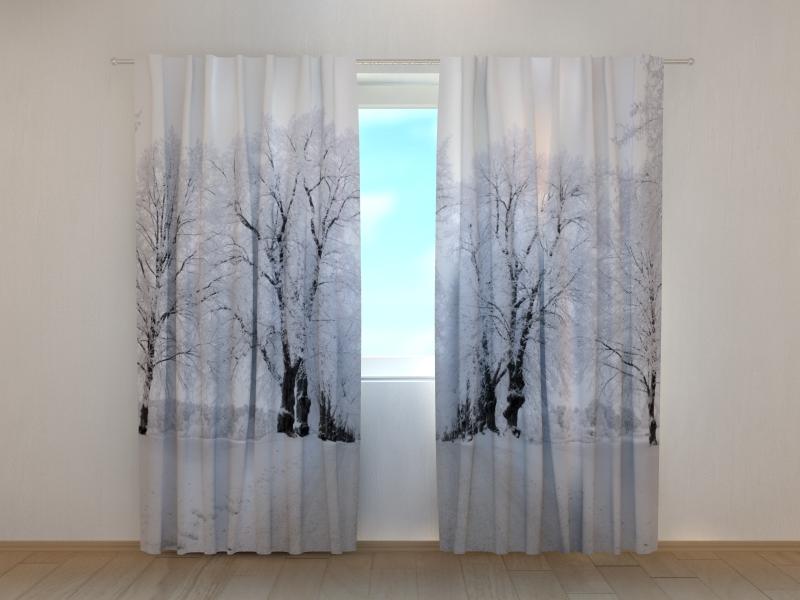 Dienas un nakts aizkari - Ziemas ceļš 180 x 140 cm (2X 90x140 cm) / SCREEN E-interjers.lv