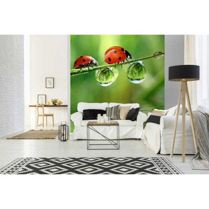 Flizelīna fototapetes ar kukaiņiem - Mārītes 225 x 250 cm D-ART