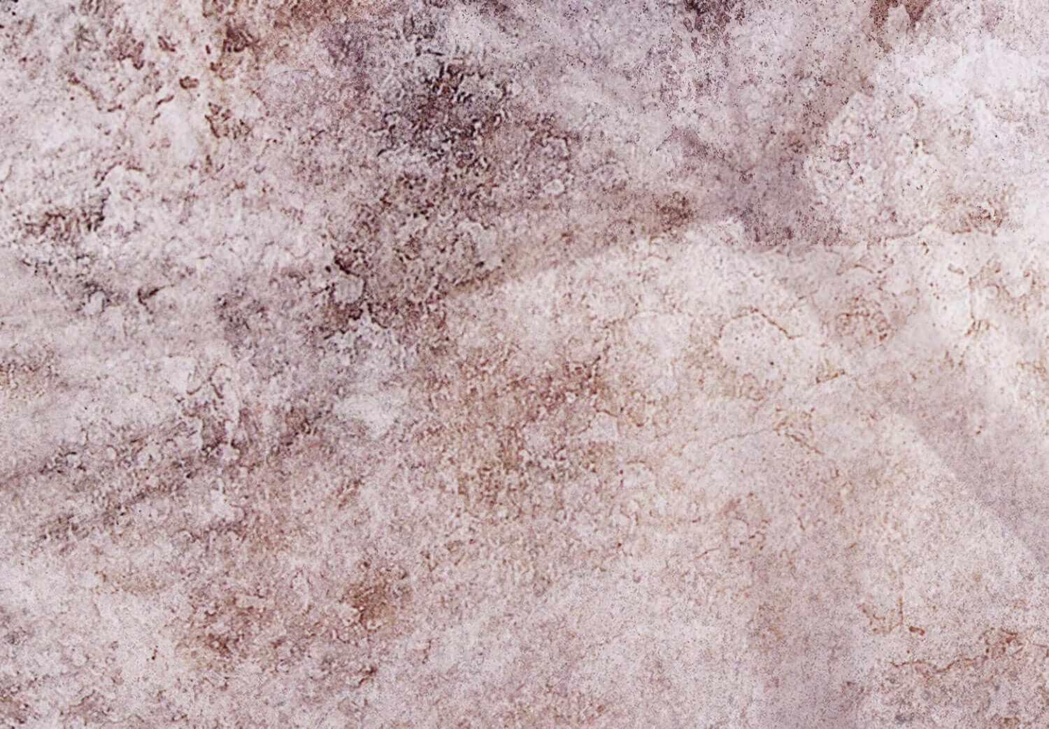 Flizelīna fototapetes ar pienenēm, 138472 G-ART