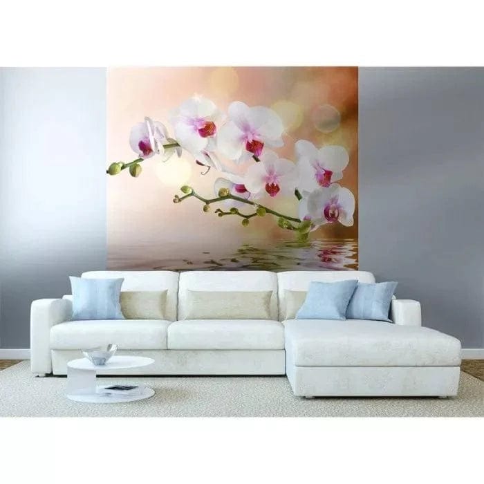Flizelīna fototapetes - Baltā orhideja (225x250 cm) ✅ Ir noliktavā 225 x 250 cm D-ART
