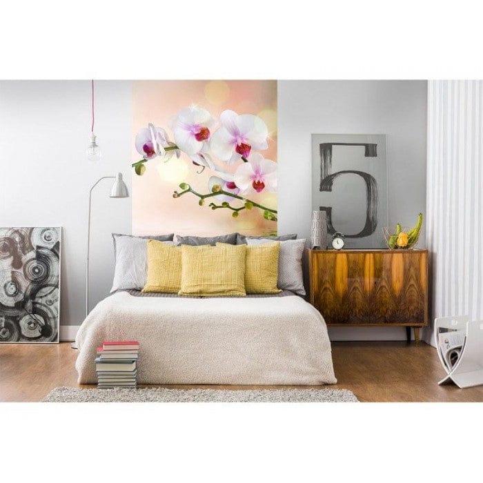Flizelīna fototapetes - Baltā orhideja 150 x 250 cm D-ART