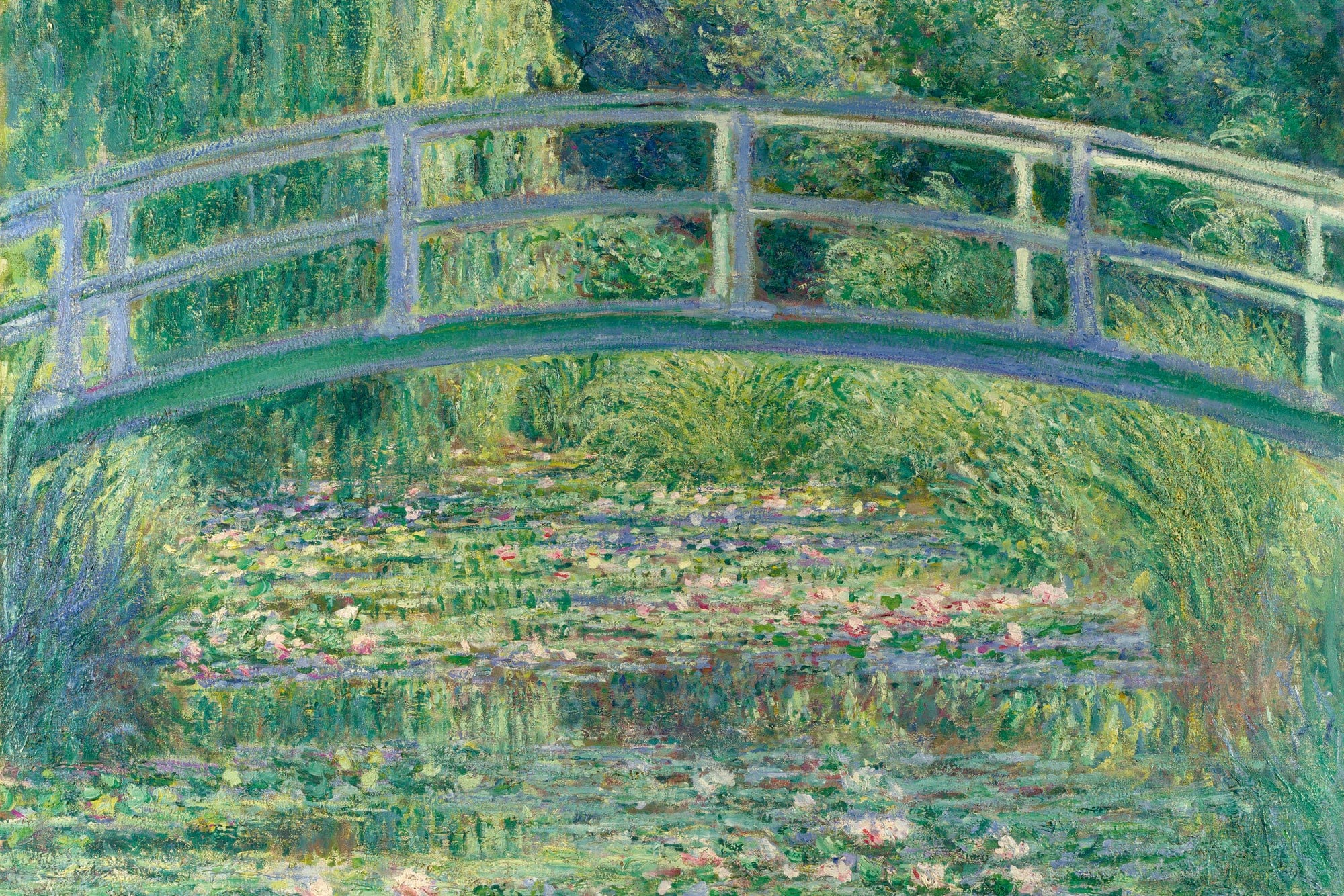 Flizelīna fototapetes - (gleznas reprodukcija) - Ūdens lilija D-ART