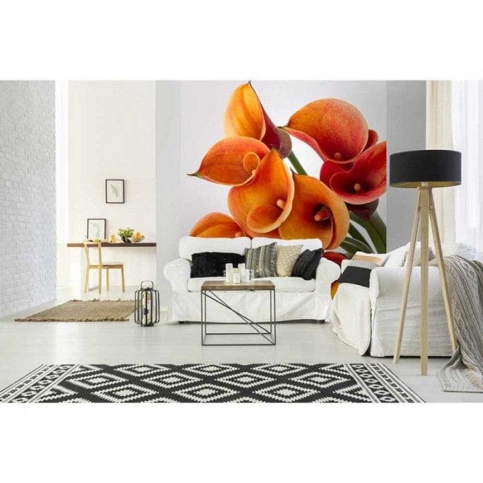 Flizelīna fototapetes - Kalla 225 x 250 cm D-ART