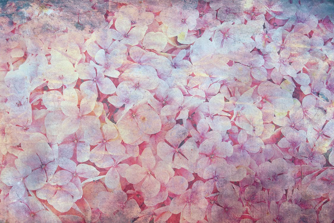 Flizelīna fototapetes - Koku maģija (pirmā versija) 375 x 250 cm D-ART