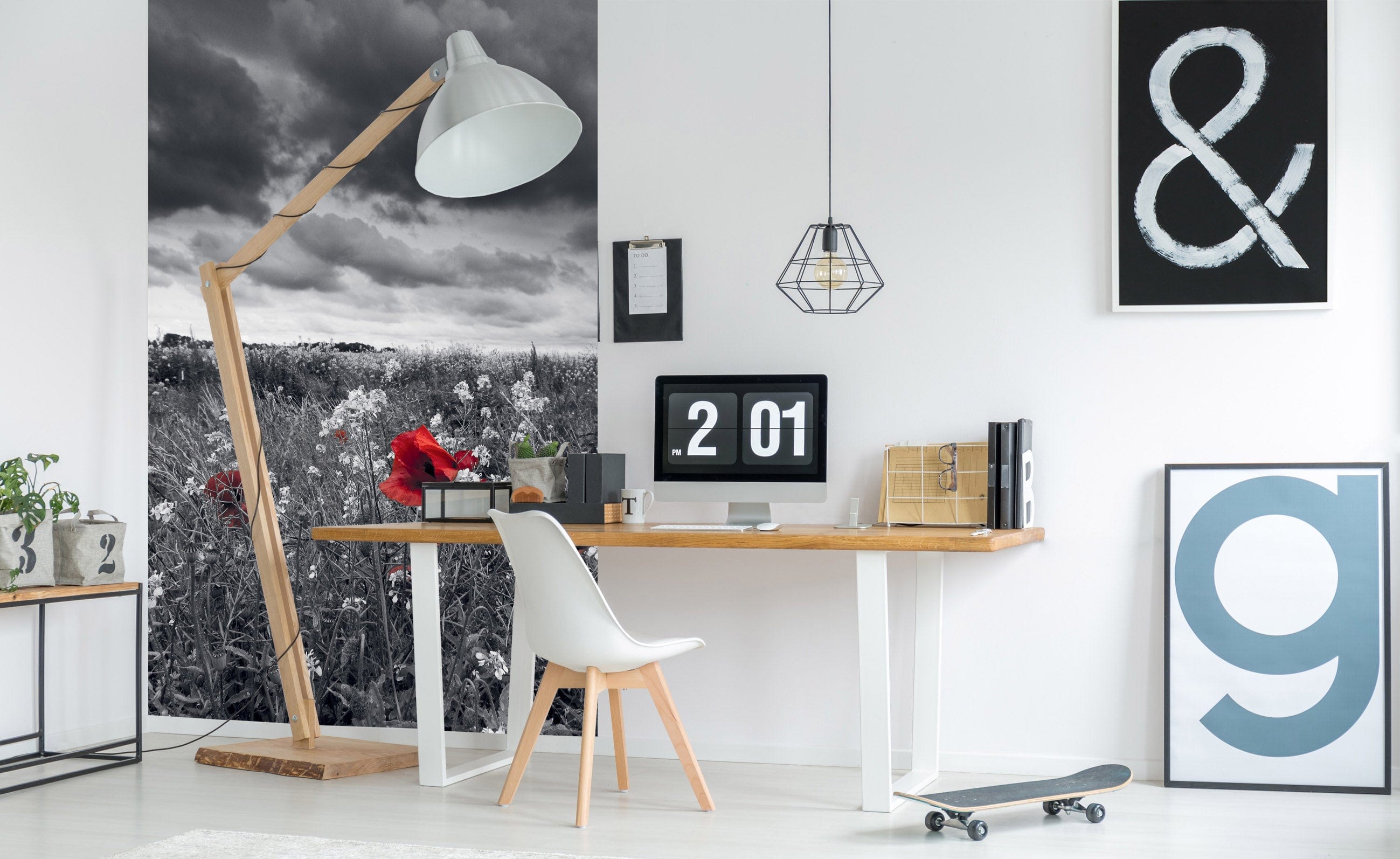 Flizelīna fototapetes - Magones (tumši pelēkos toņos) 150 x 250 cm D-ART