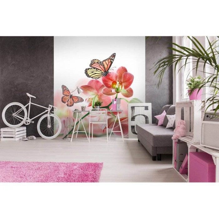 Flizelīna fototapetes - Orhidejas un tauriņš 225 x 250 cm D-ART