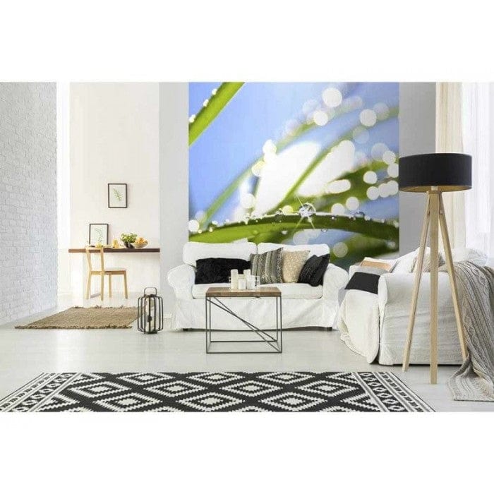 Flizelīna fototapetes - Rīta rasa uz zāles 225 x 250 cm D-ART