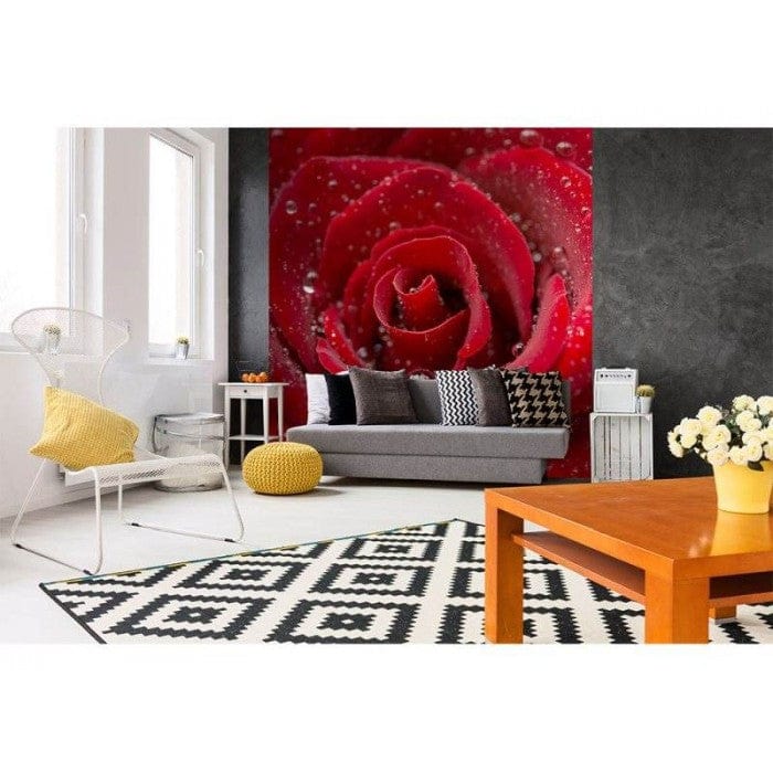 Flizelīna fototapetes - Sarkanā roze 225 x 250 cm D-ART