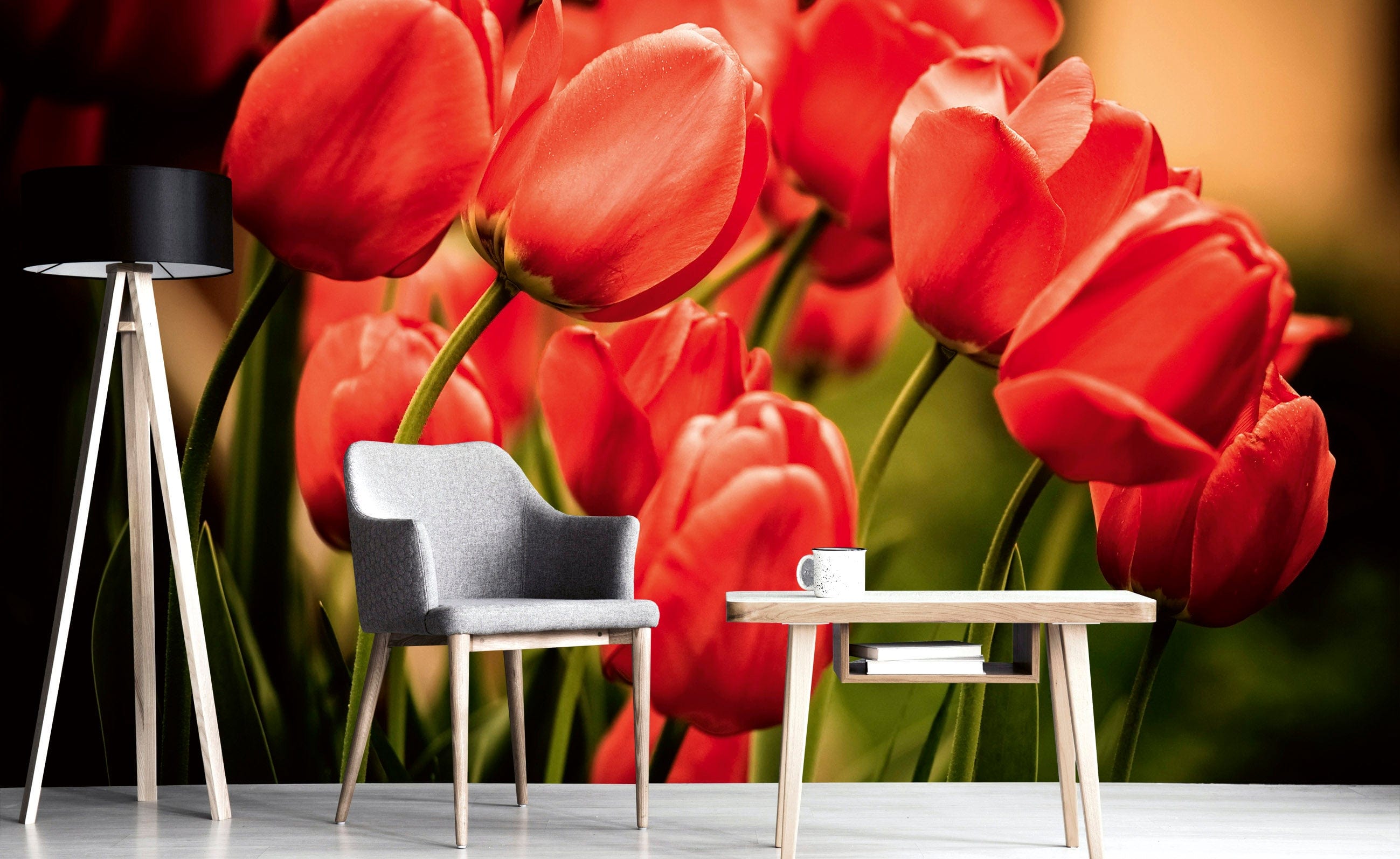 Flizelīna fototapetes - Sarkanas tulpes 375 x 250 cm D-ART